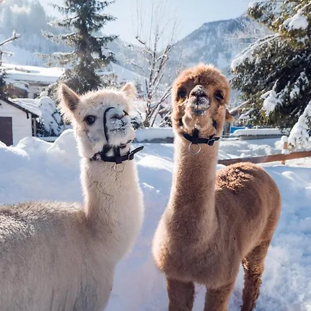 Oberforsthof Sankt Johann im Pongau
