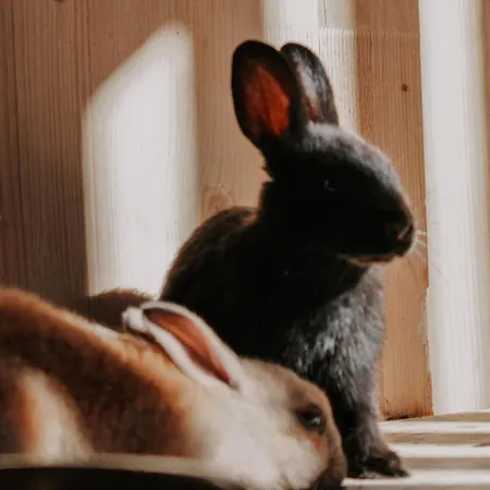 Oberforsthof Hotel 4*