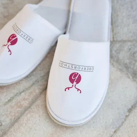 酒店 欧博弗斯特霍夫酒店