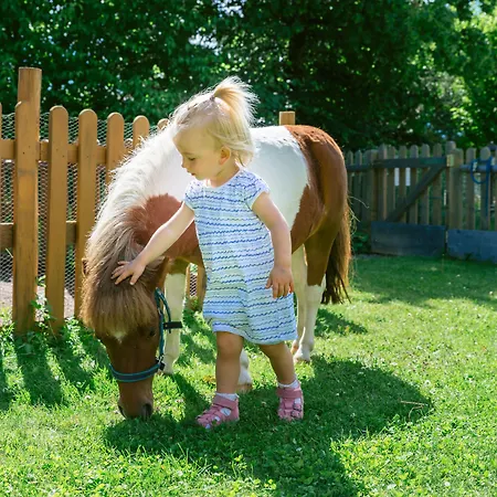 Oberforsthof فندق